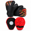 Boxing Gloves & Focus Mitts
